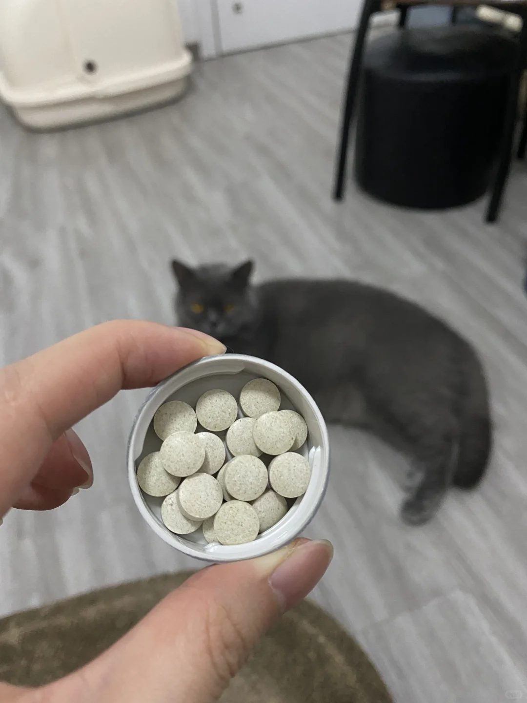 ?真·猫草提取+天然膳食纤维