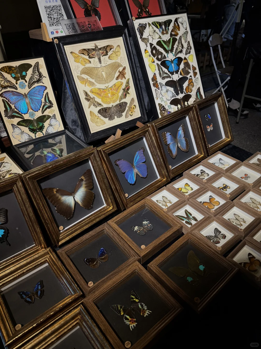 重生之我在景德镇烧玻璃