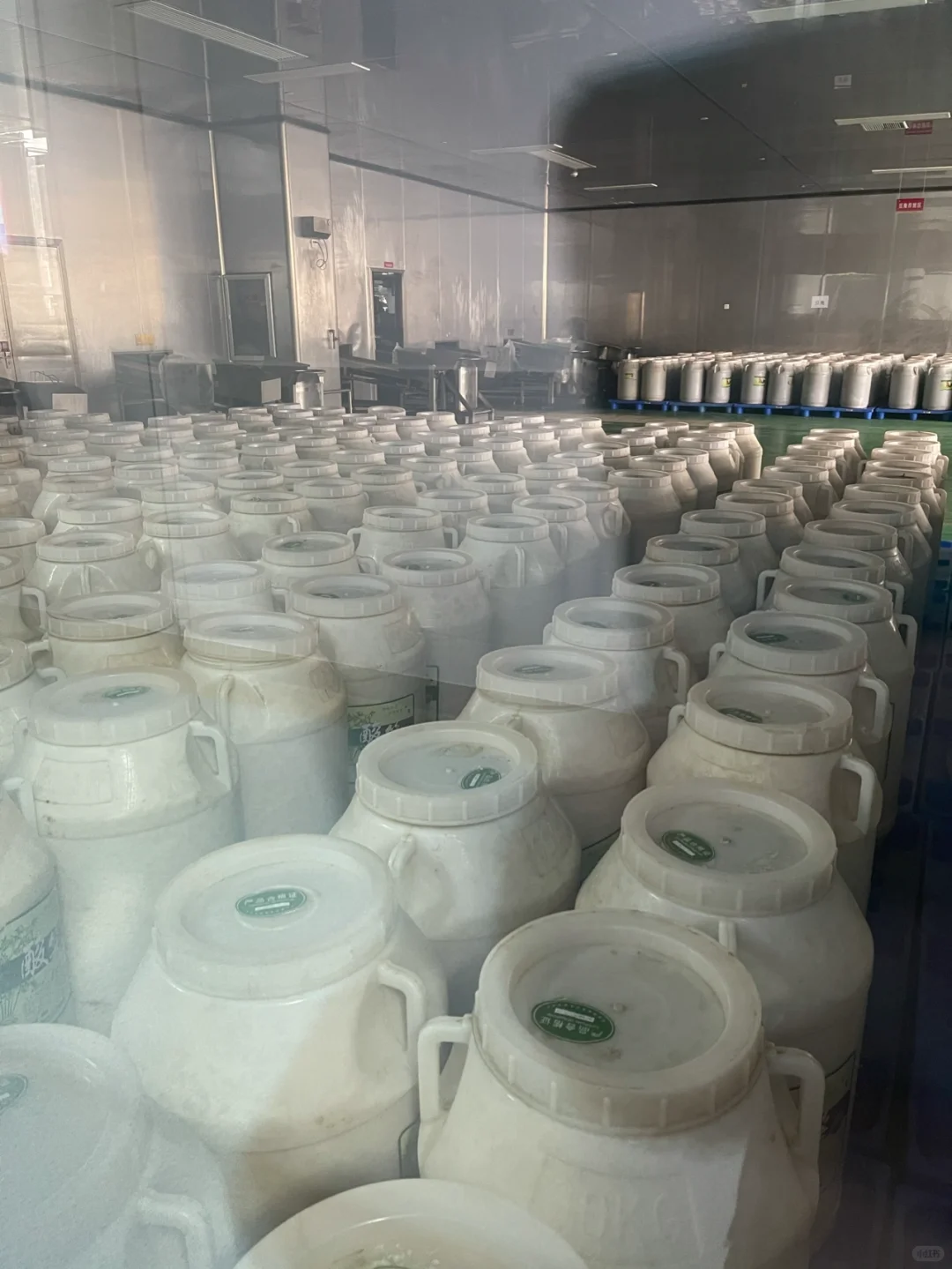 带大家参观——柳州螺霸王螺蛳粉生产线（二）