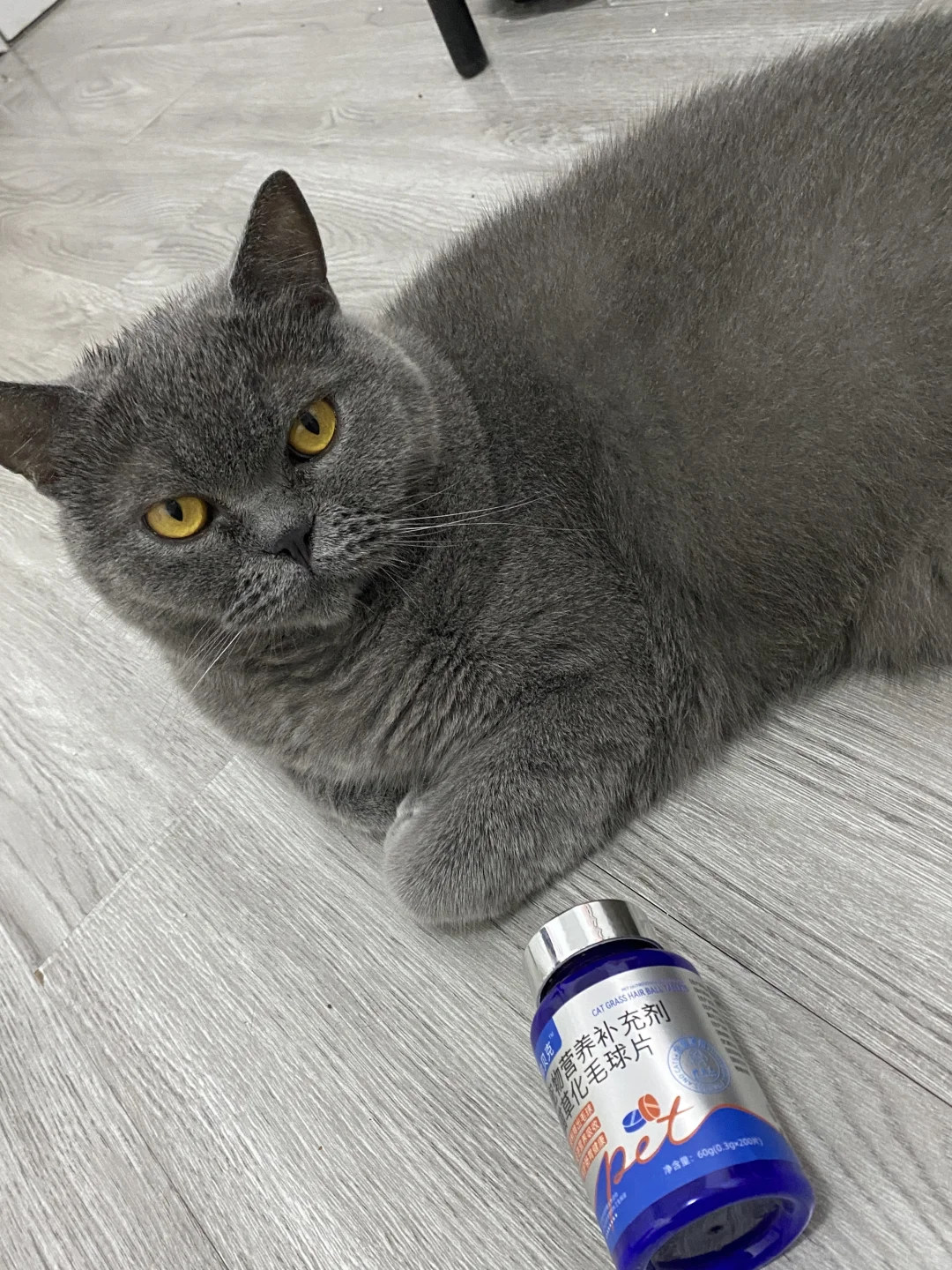 ?真·猫草提取+天然膳食纤维