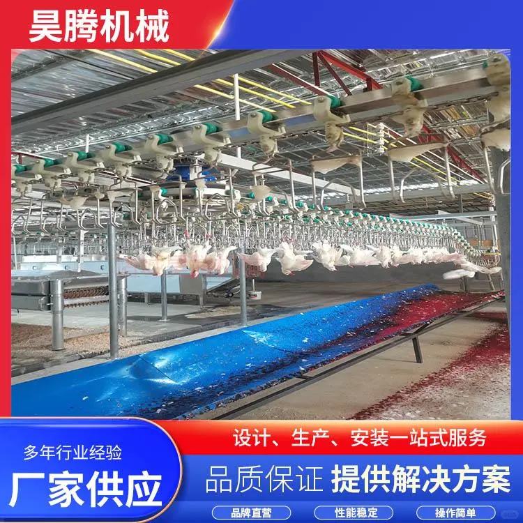 鸽子吊挂宰杀生产线-诸城昊腾机械