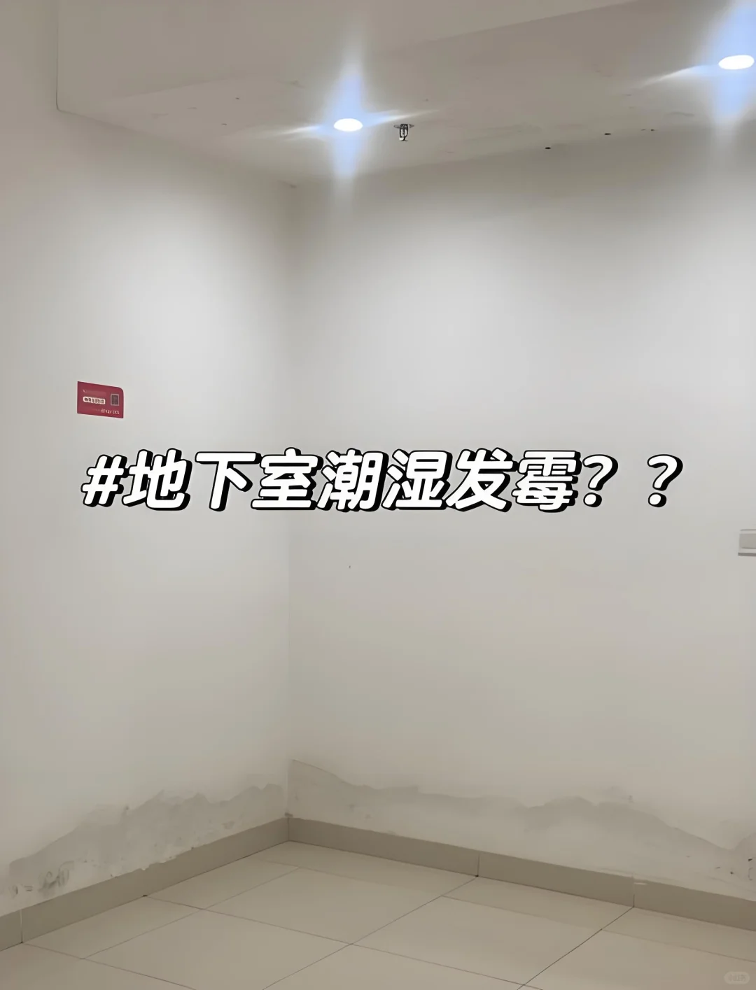 书房不在“霉”烦恼！防霉防潮有托尔TOR