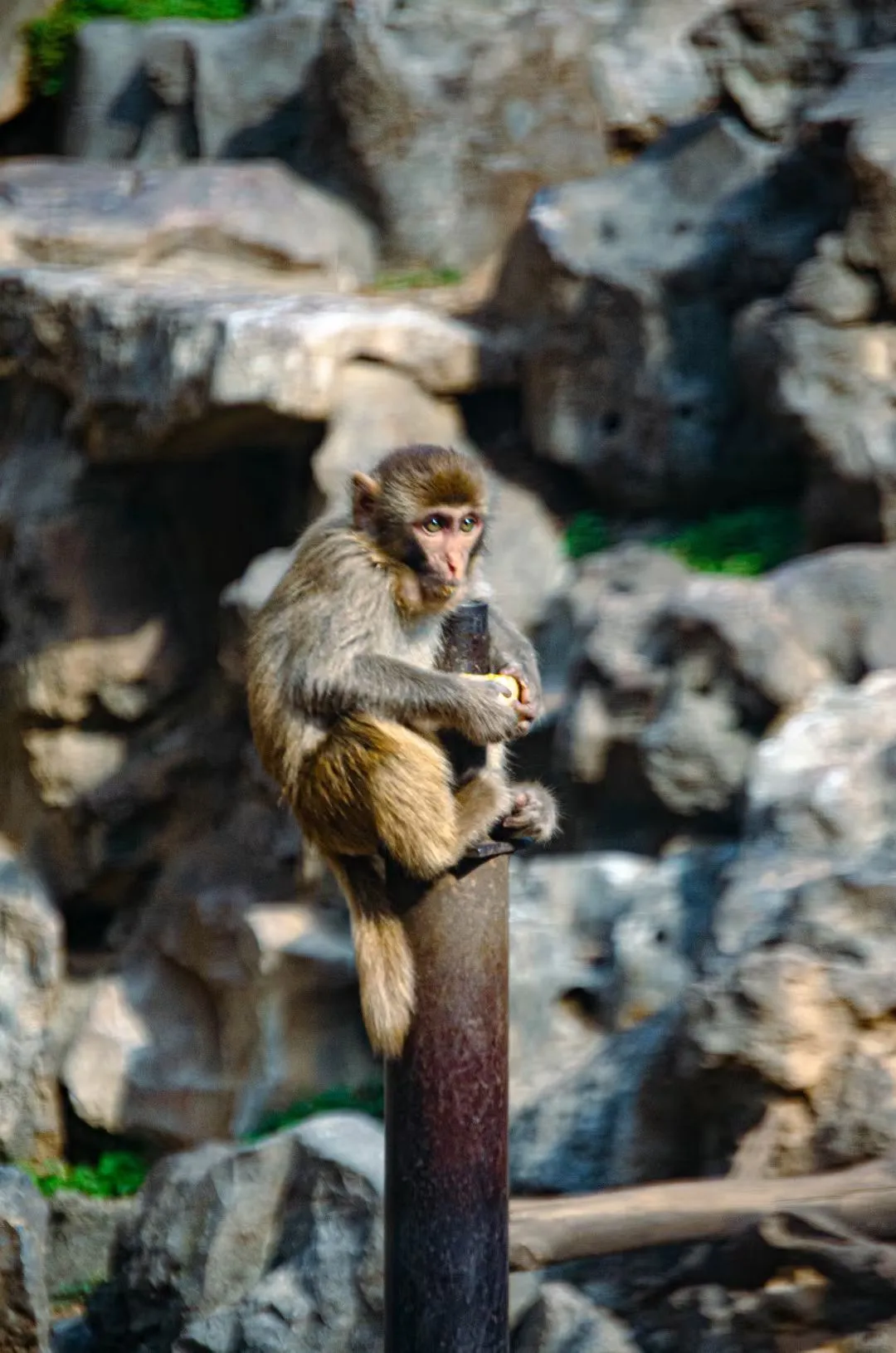 期货经理日记 day69