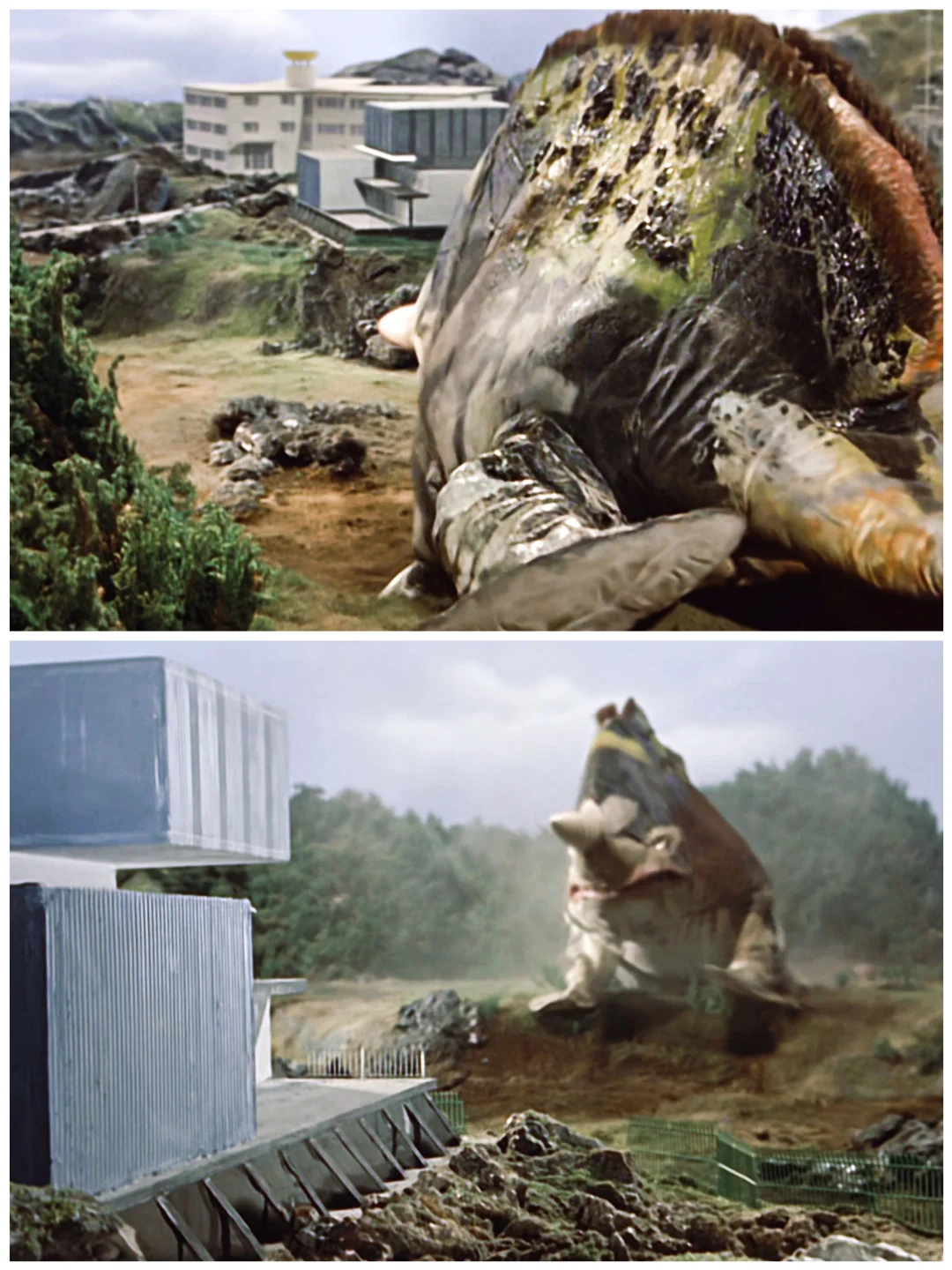 怪兽图鉴｜它就这么轻松的破解了八分光轮