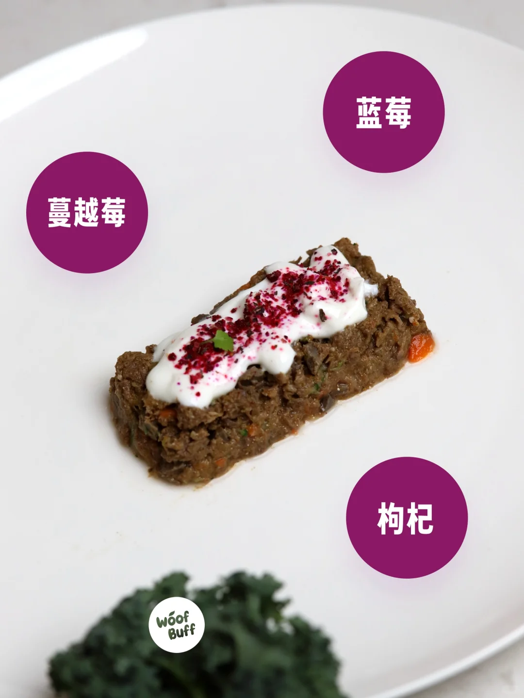 给毛孩子的植物养生智慧