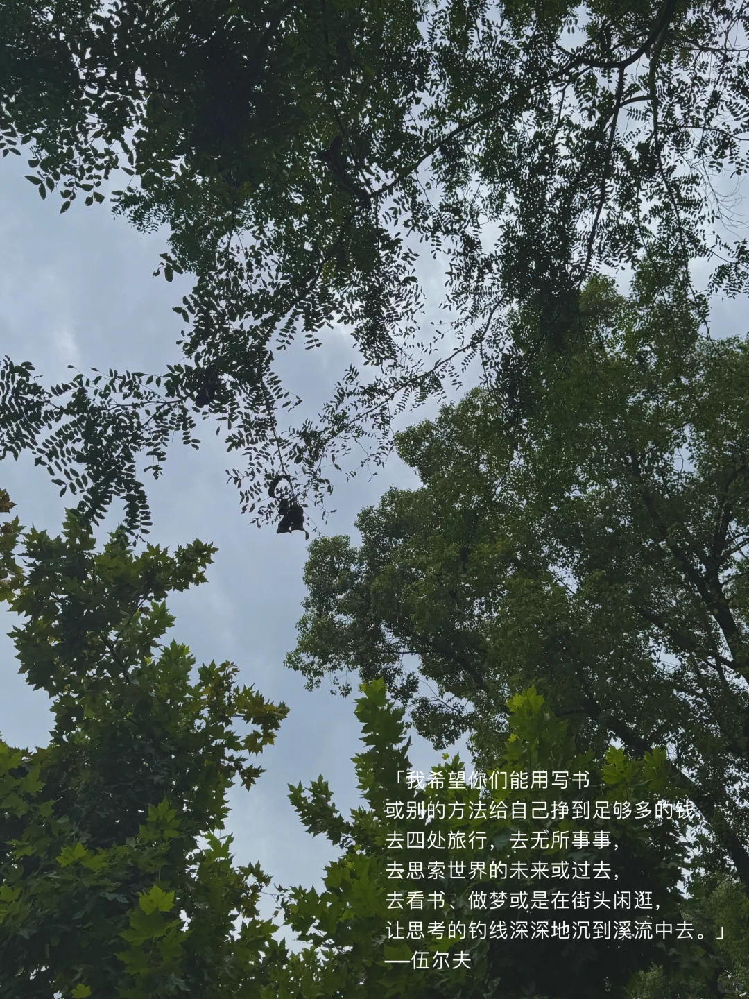 我要健康快乐幸福的活着