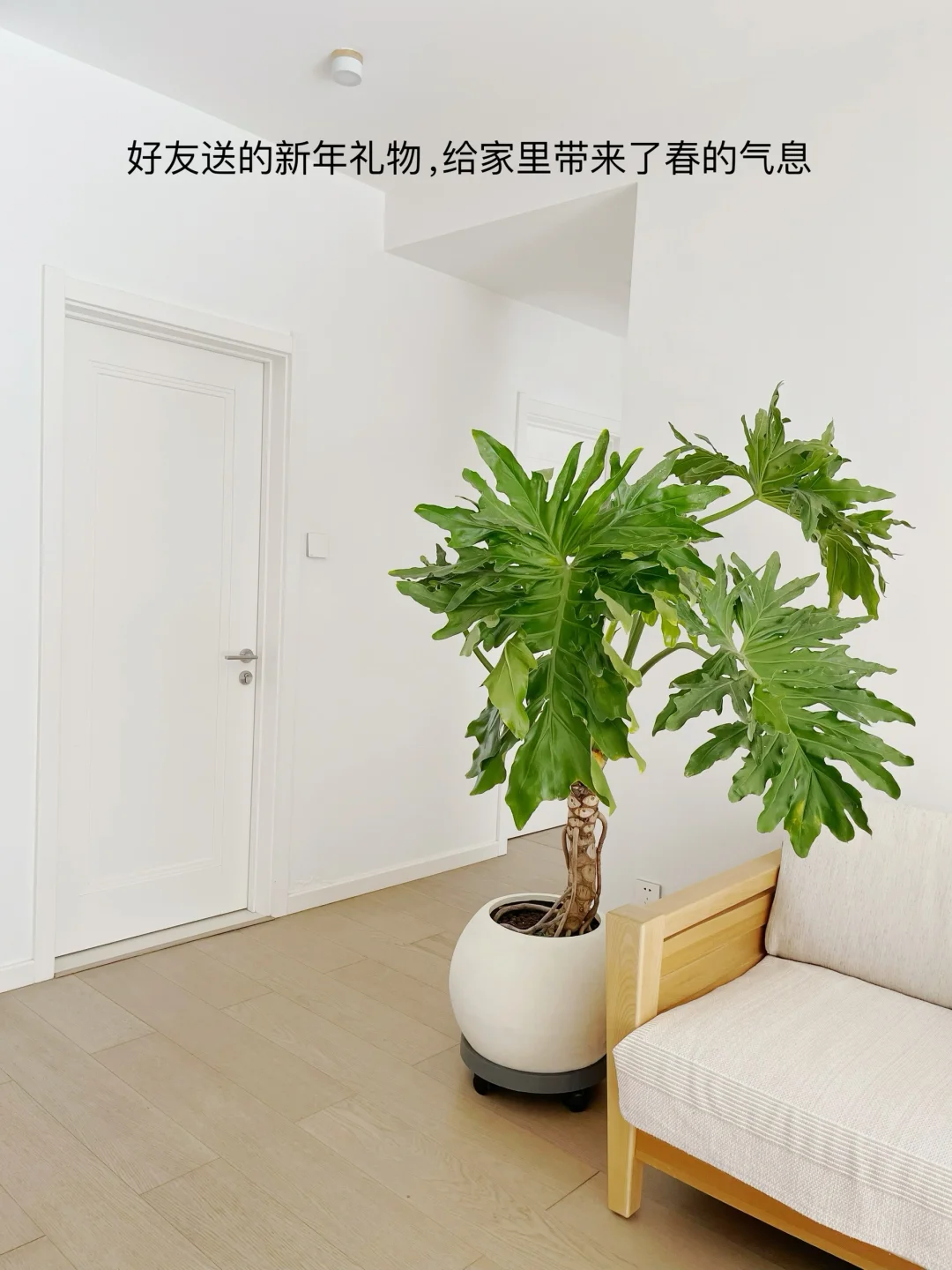 哪里都干净的生活|真的很养人