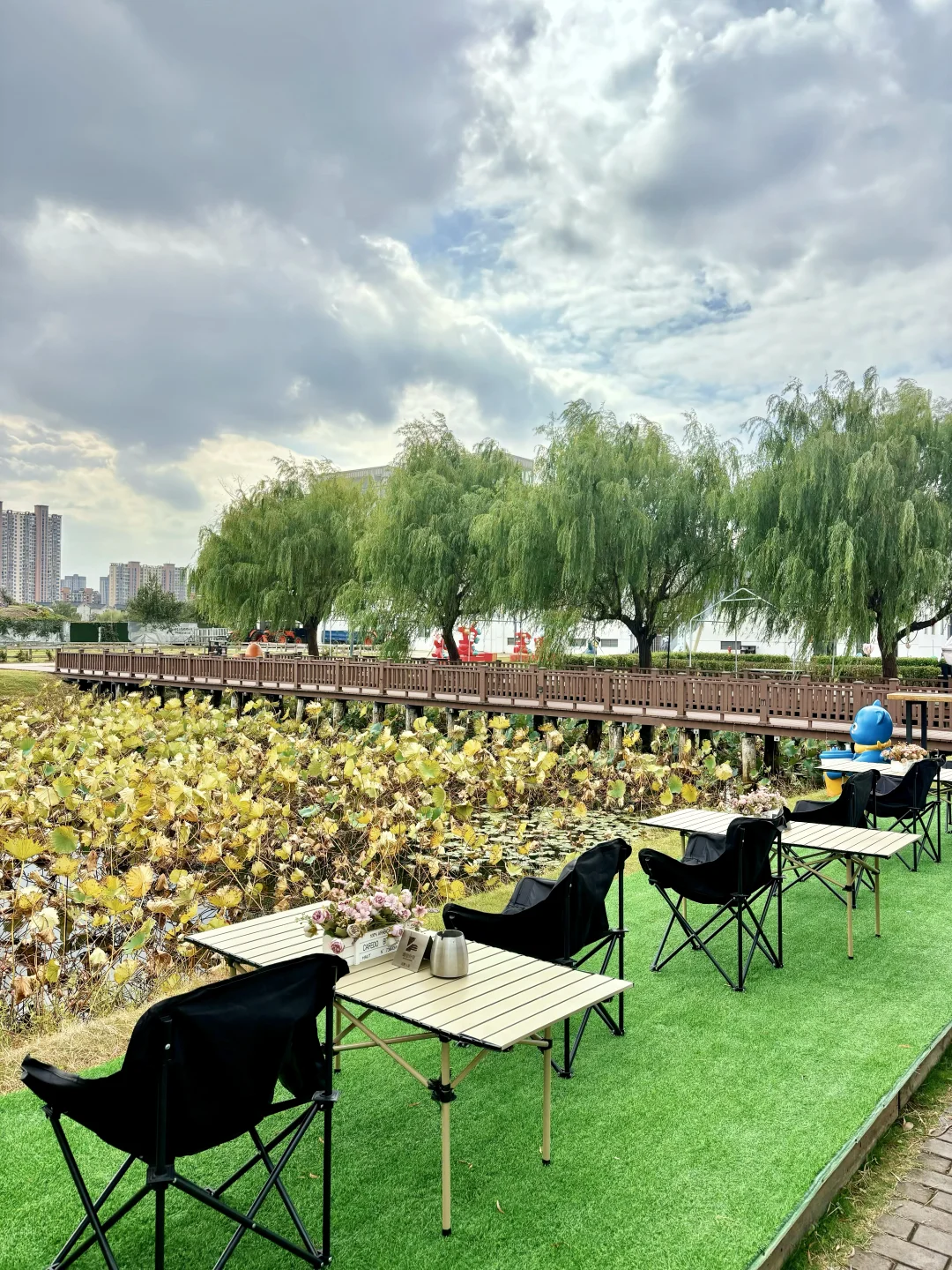 稻海漫过窗棂时,刚好接住了嘉定向阳的秋
