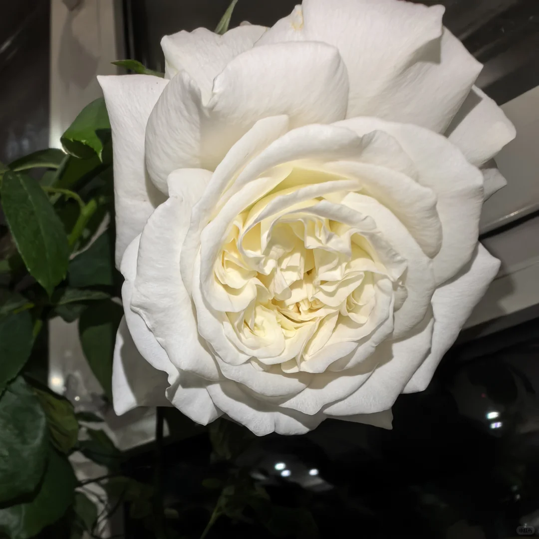 自学《中医基础理论》打卡