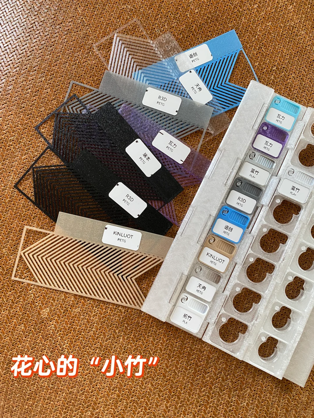 “小竹”的“伙伴”们