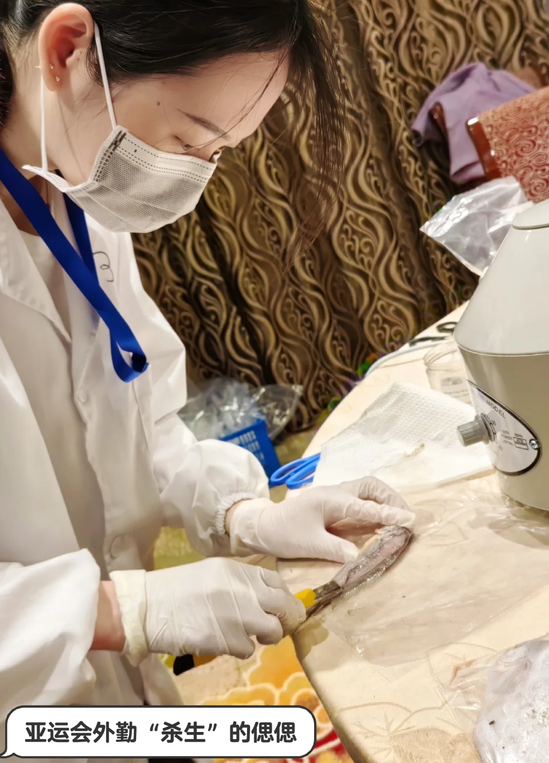 实验室打工人哪来的氛围感啊！？