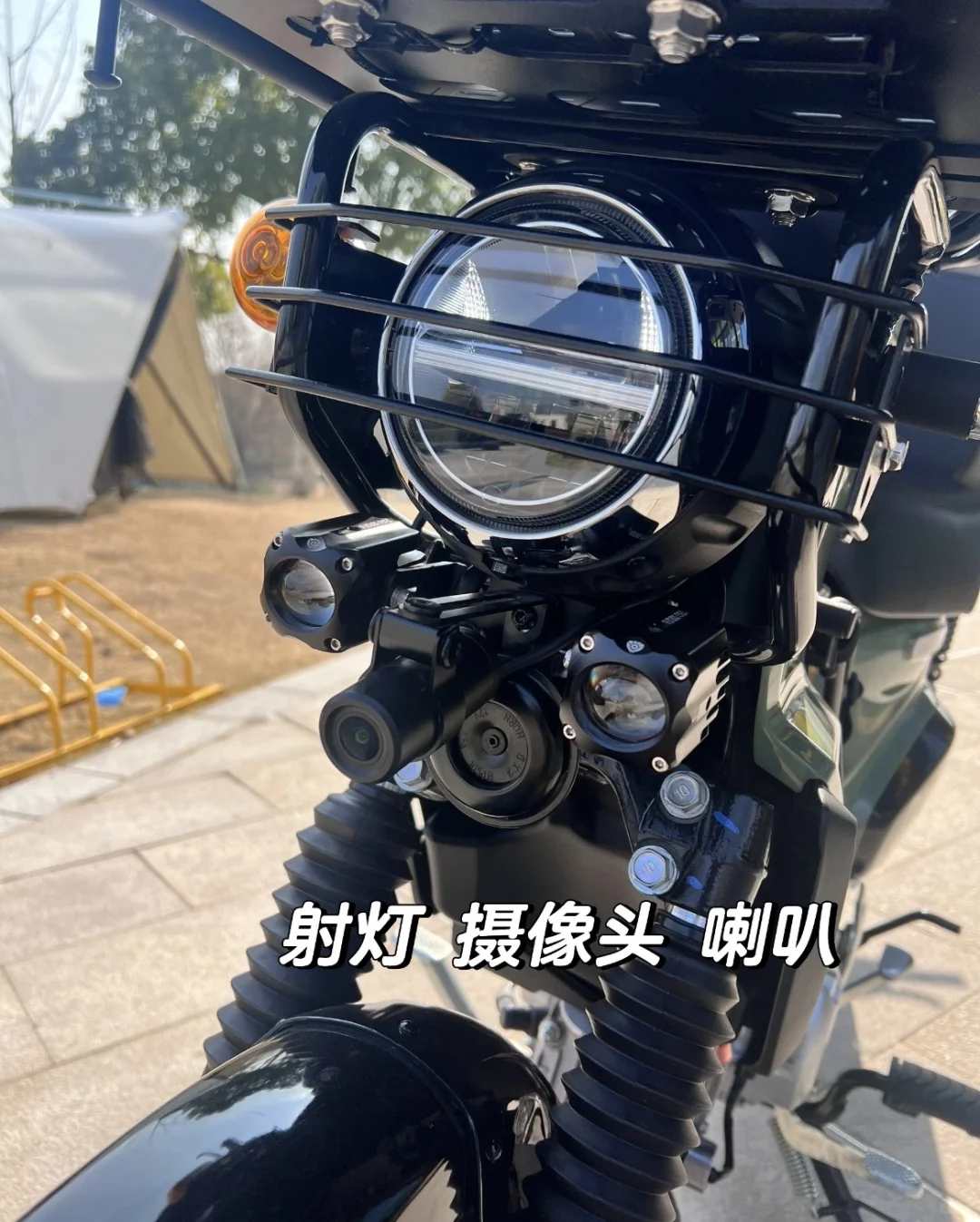 让我看看你们幼兽都改装了啥