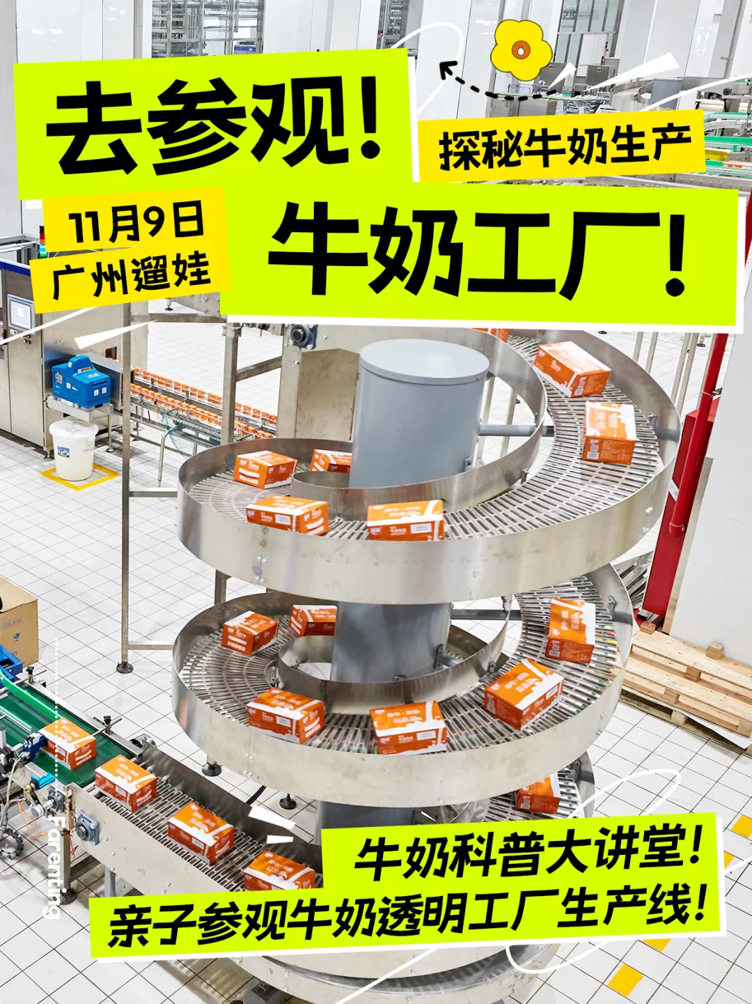 广州遛娃｜周末！亲子参观牛奶工厂生产线！