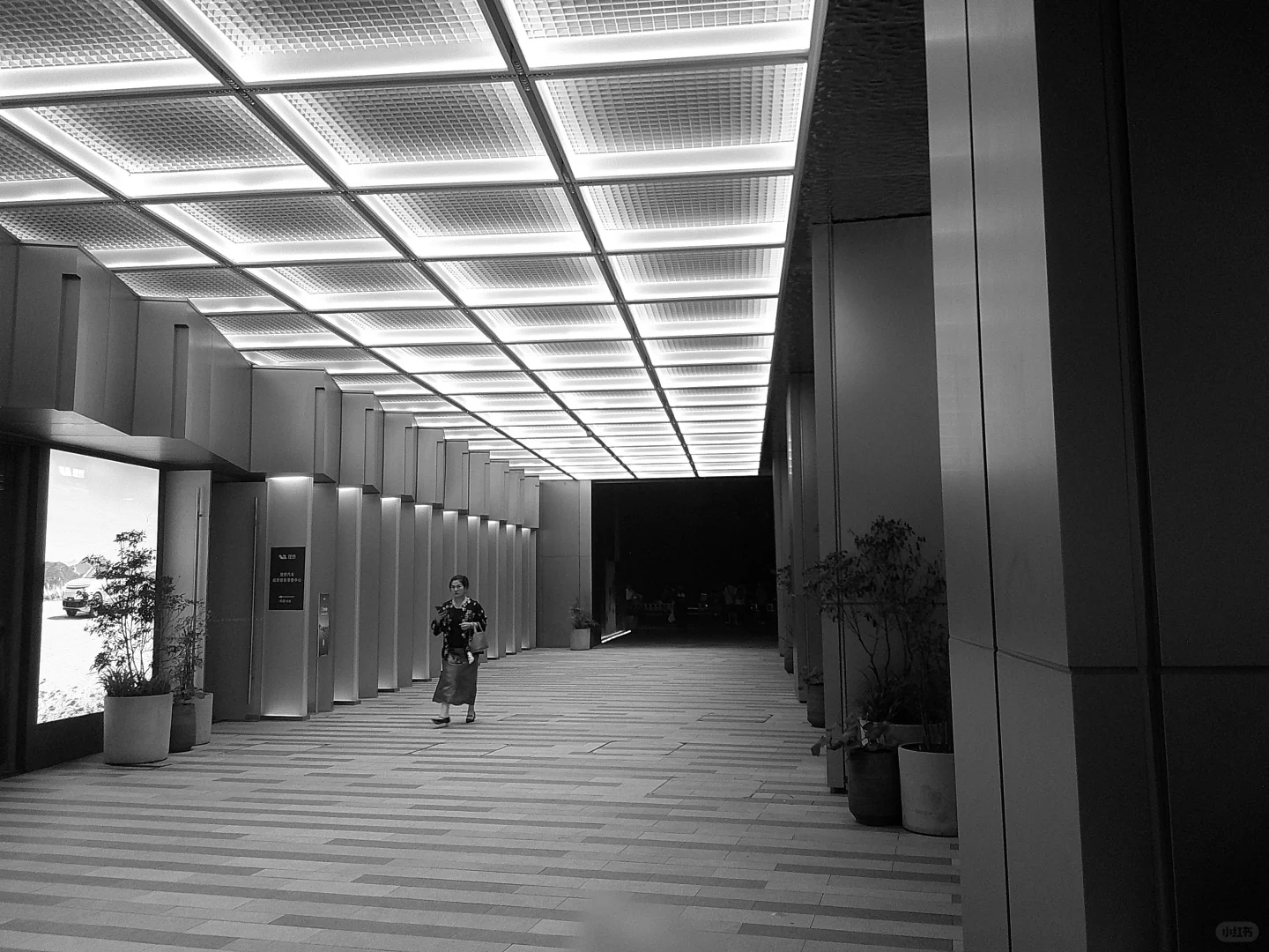 X Half 平平替 无屏八模式相机?