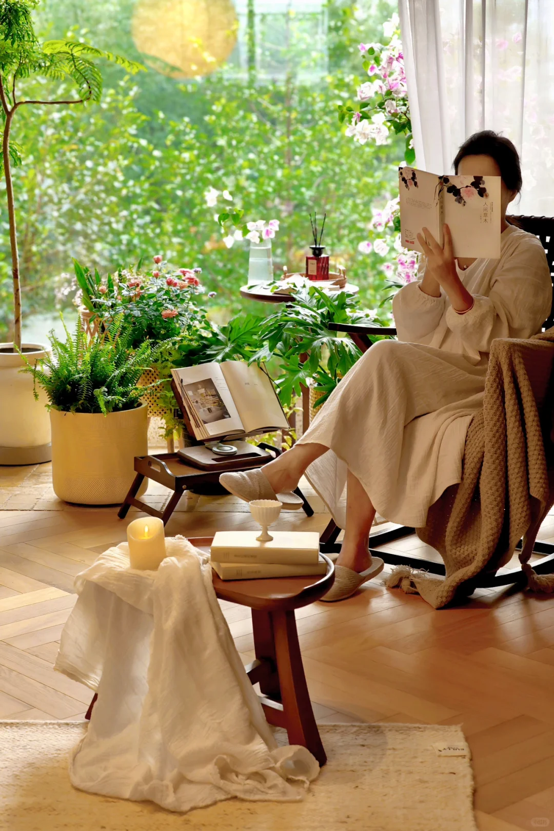 秋冬宅家,享受被阳光和绿植包裹的治愈时光