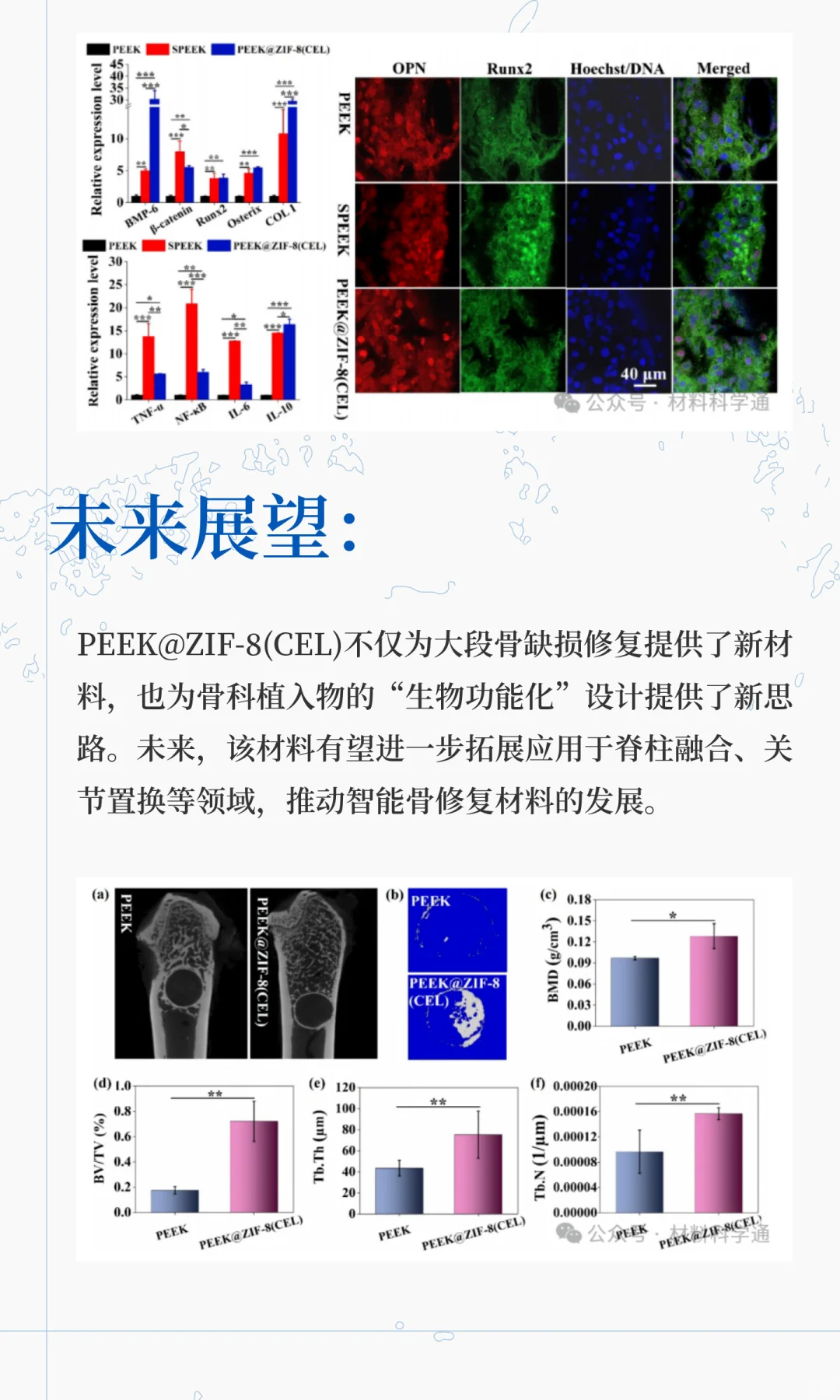 MOF改性PEEK骨植入材料！修复大段骨缺损同