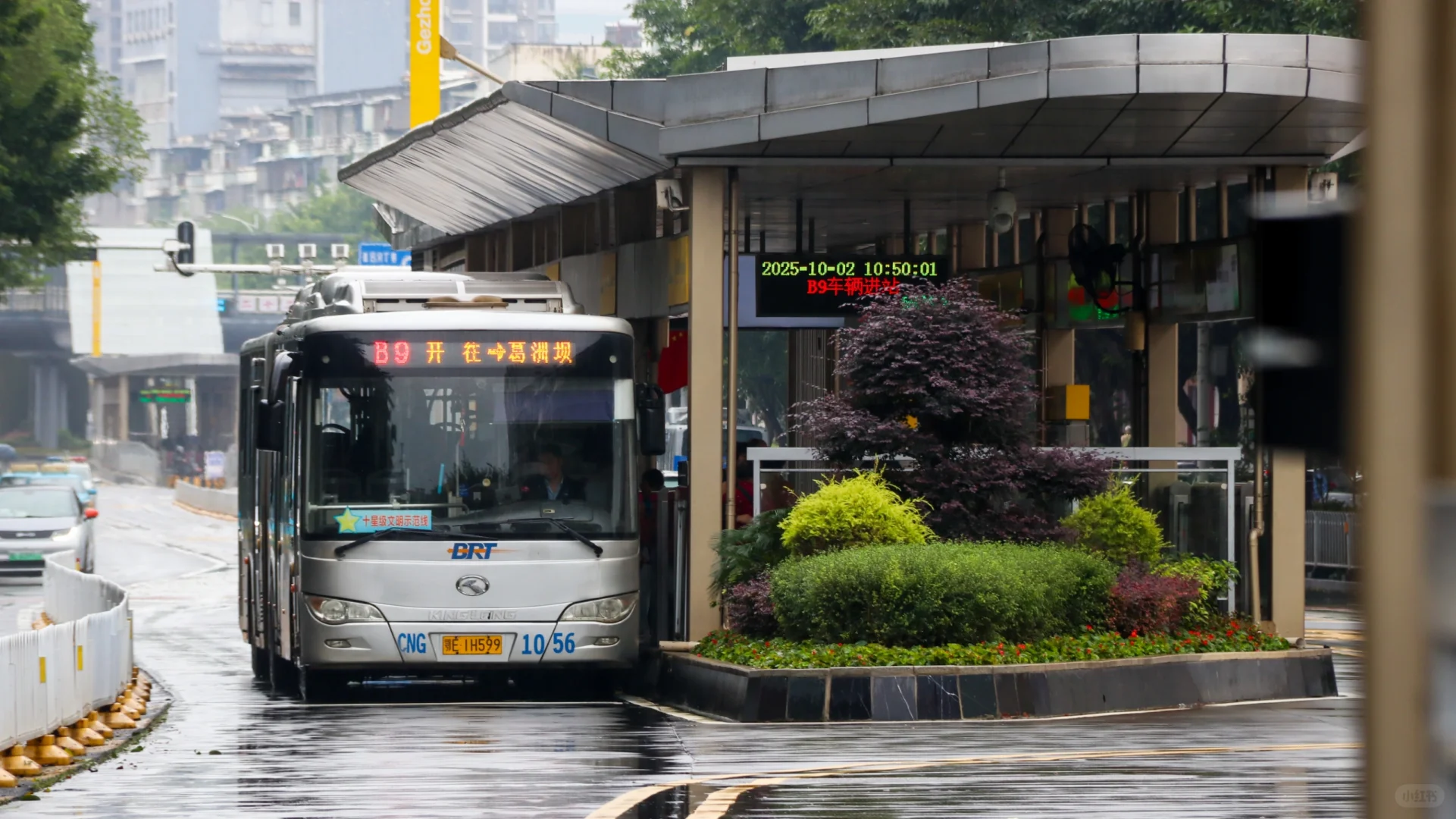 宜昌BRT——暮年CNG铰接 金龙宇通都精彩