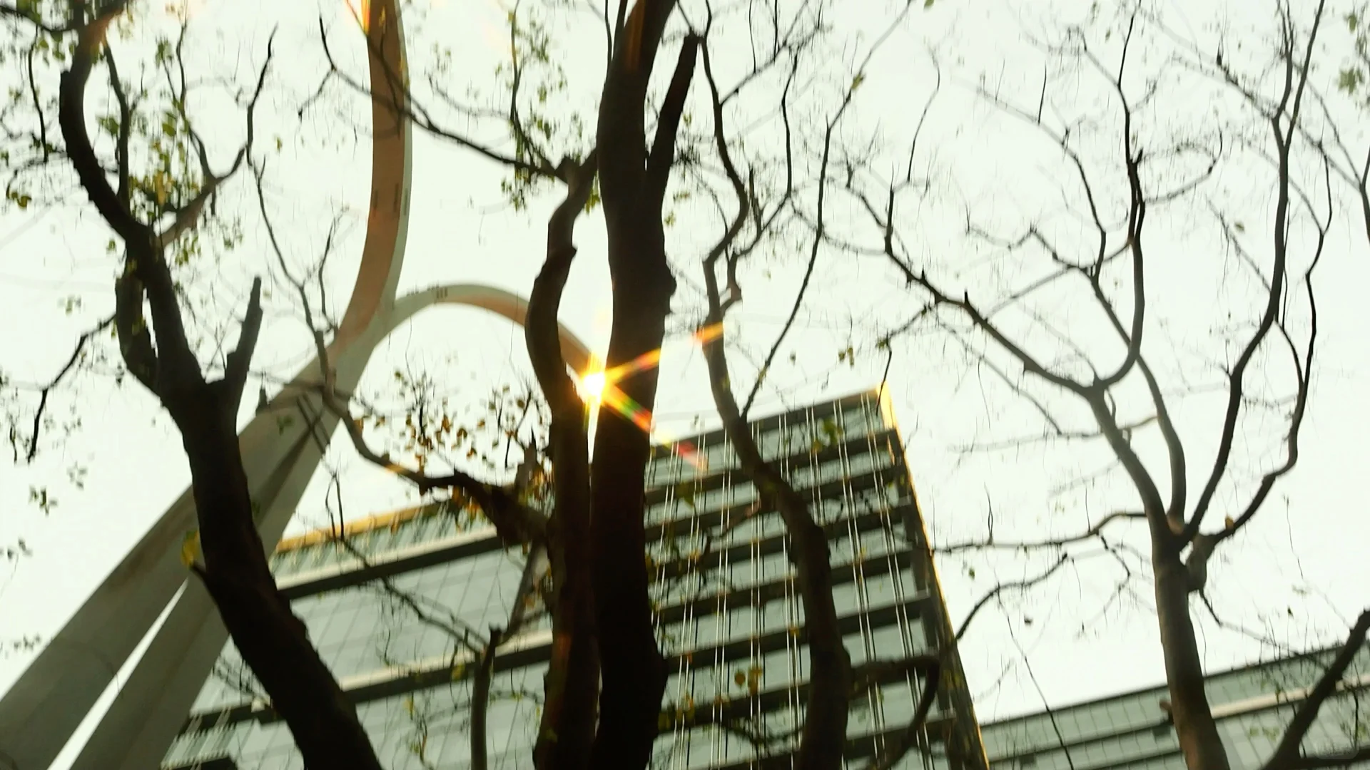 奥林巴斯拍到的电影画面