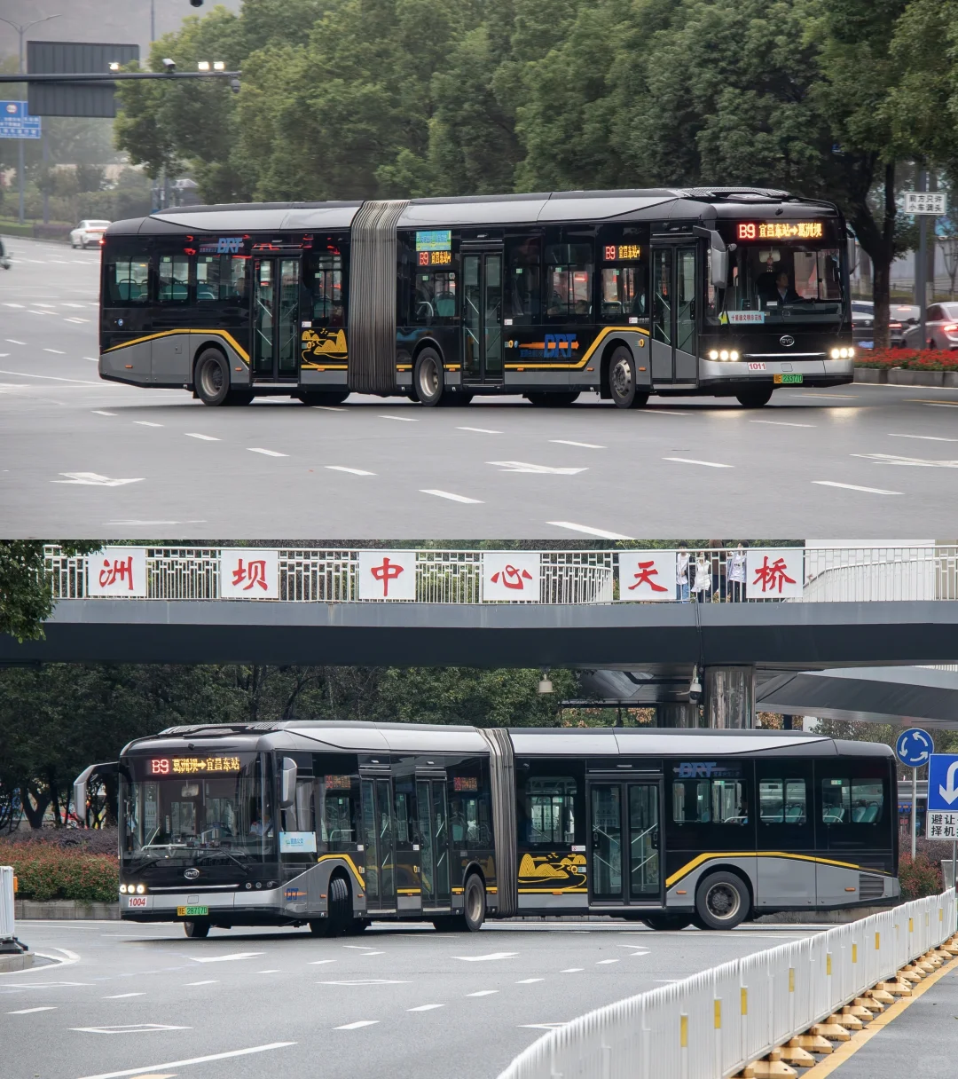 宜昌BRT——暮年CNG铰接 金龙宇通都精彩