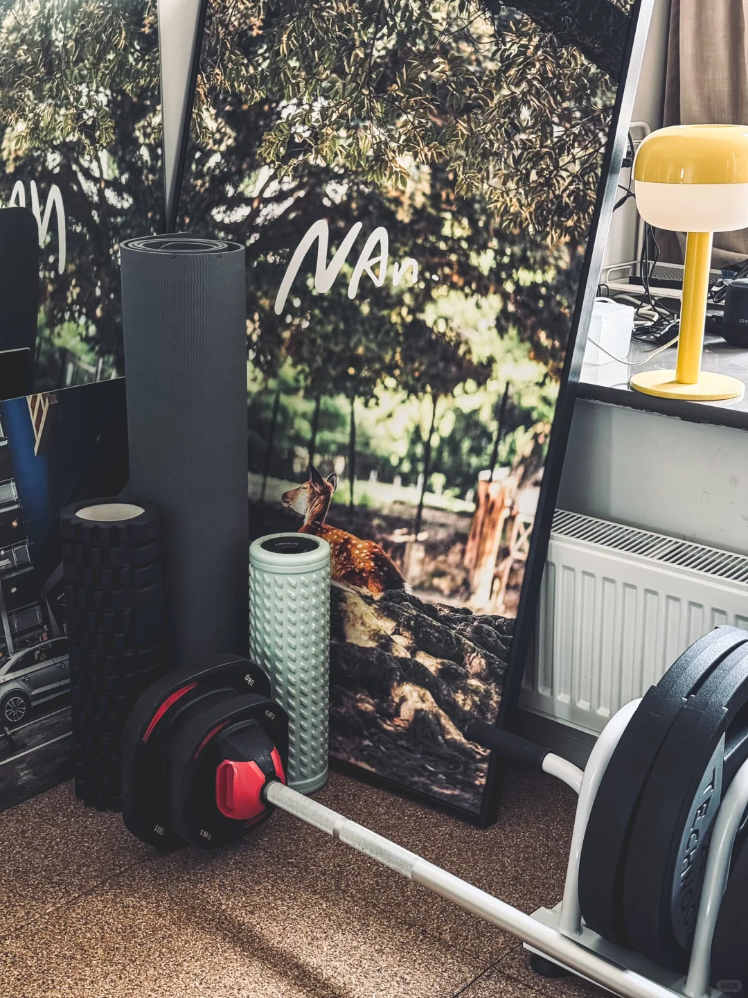 31岁独居|不到5k,8平米书房改家庭健身房