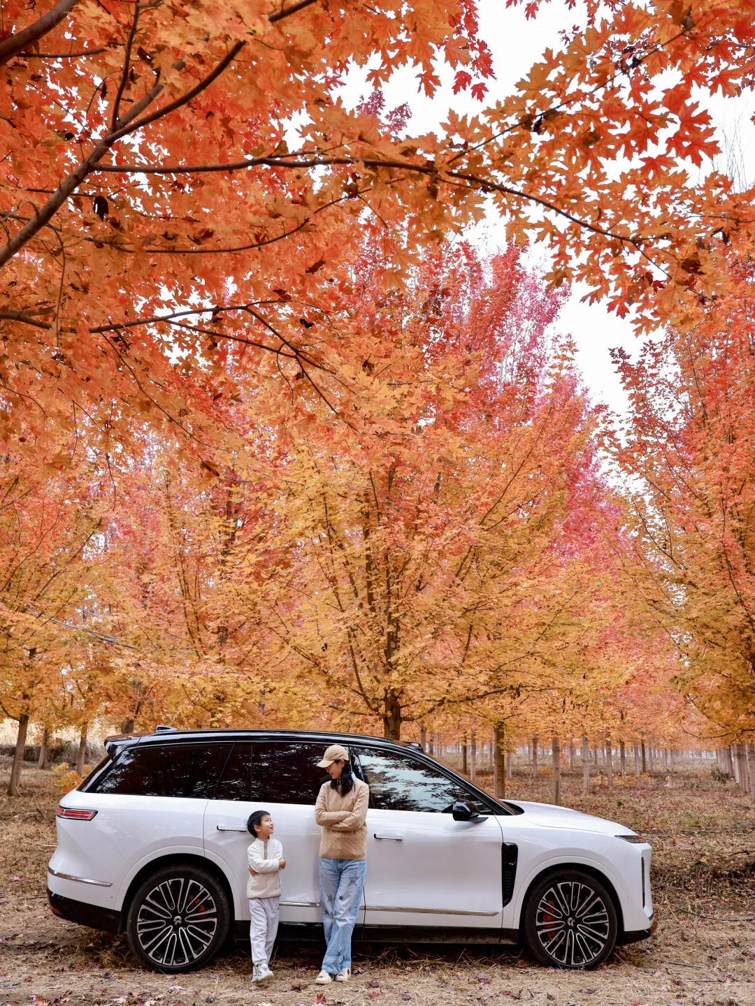 10.30实拍!北京深藏不露的红枫秘境美到失语