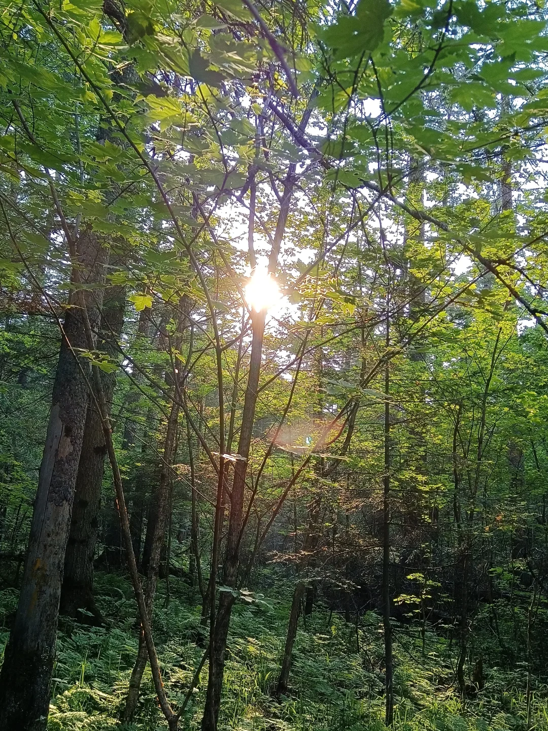 如果你也需要心理咨询（240/60min）