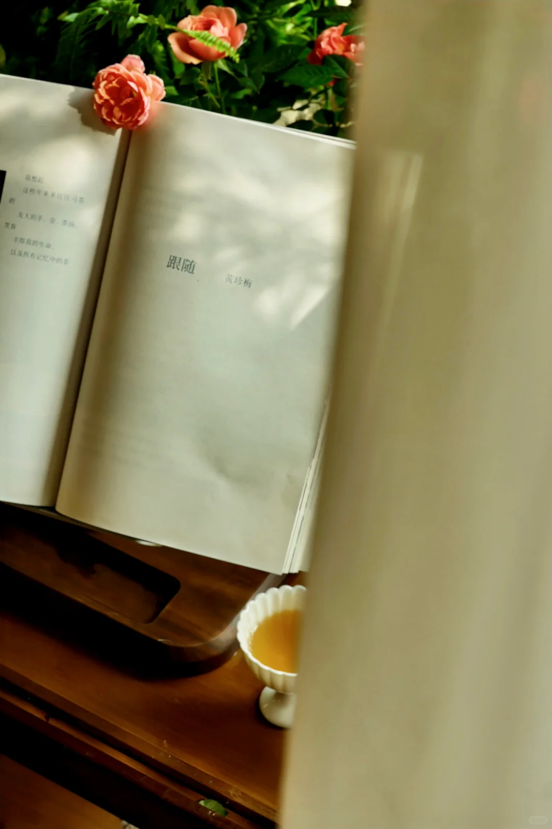 秋冬宅家,享受被阳光和绿植包裹的治愈时光