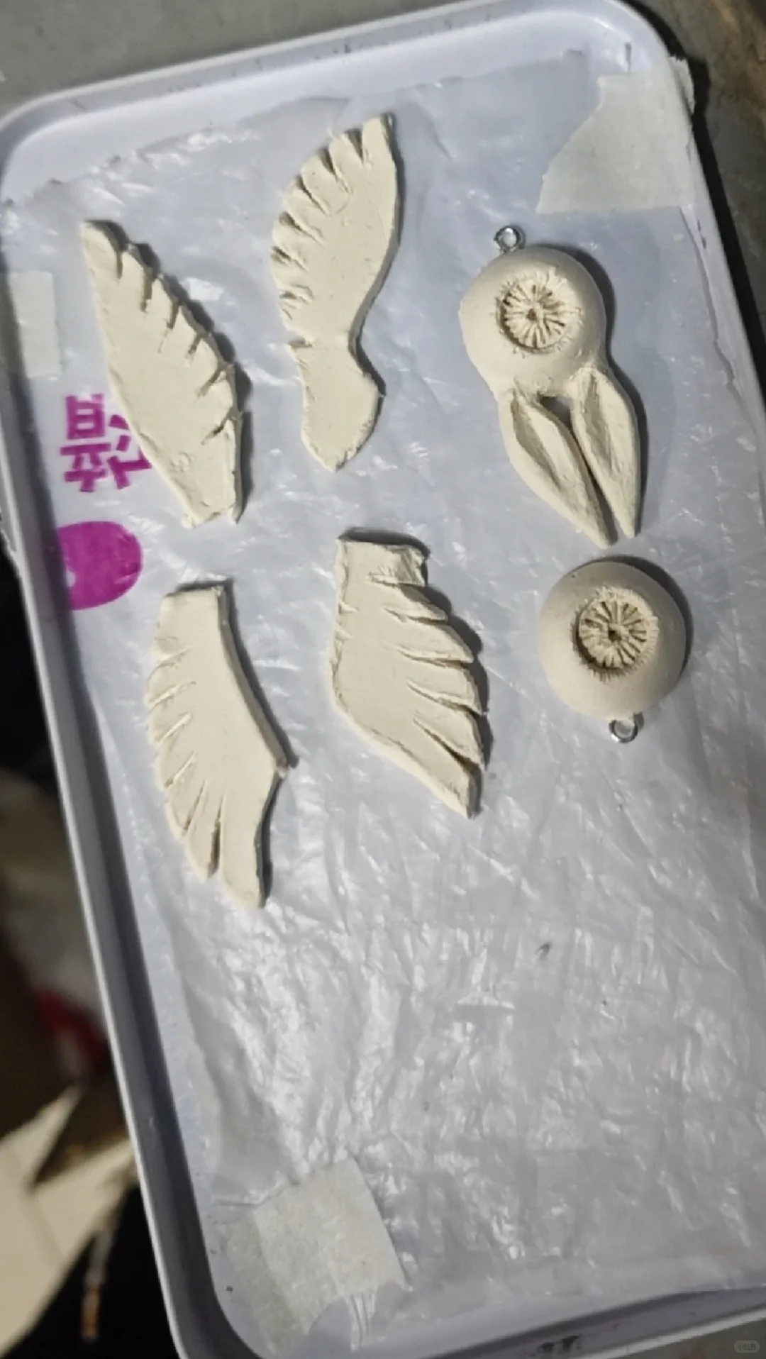 炽天使过程来啦~