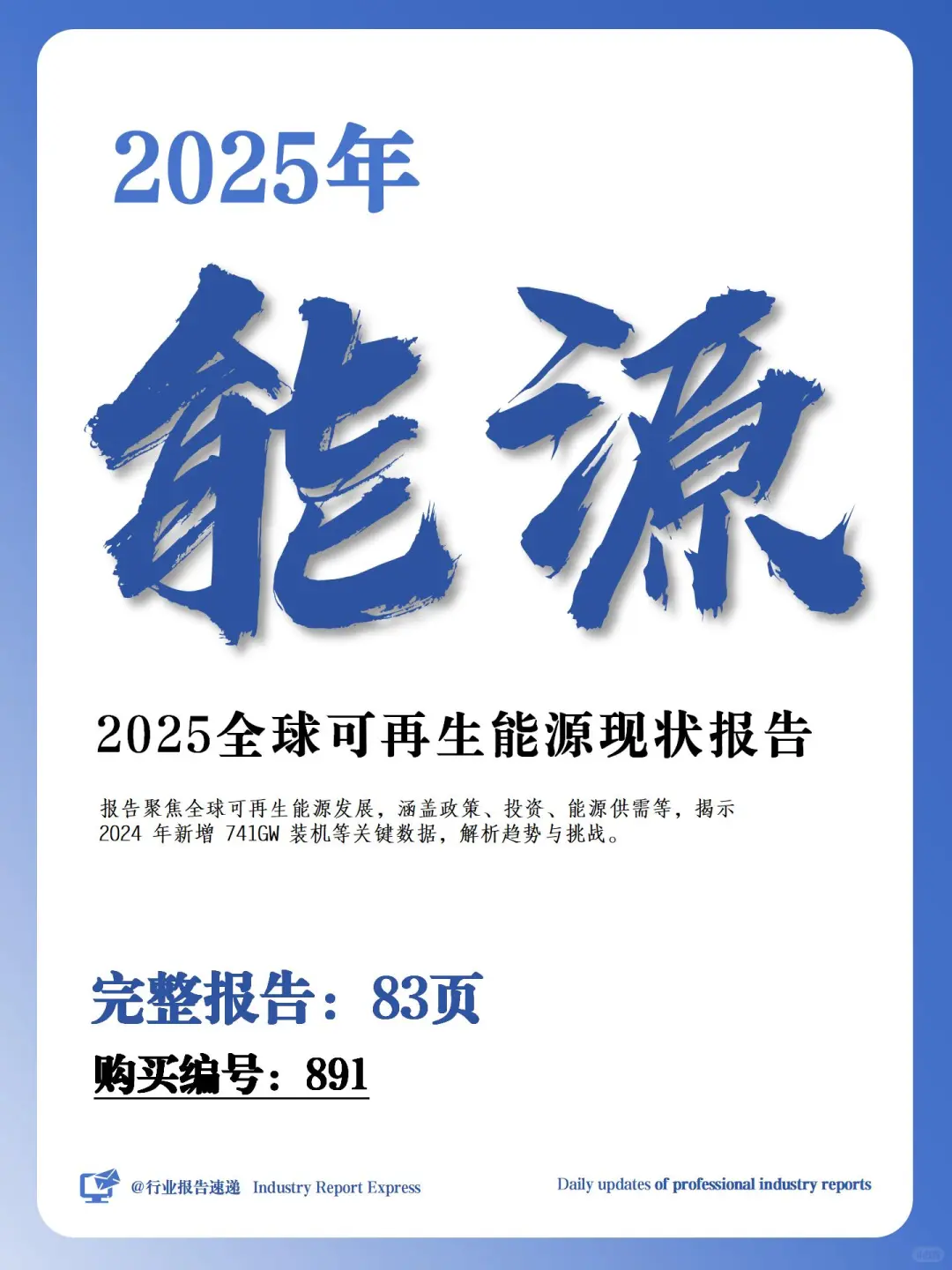2025 全球可再生能源现状报告