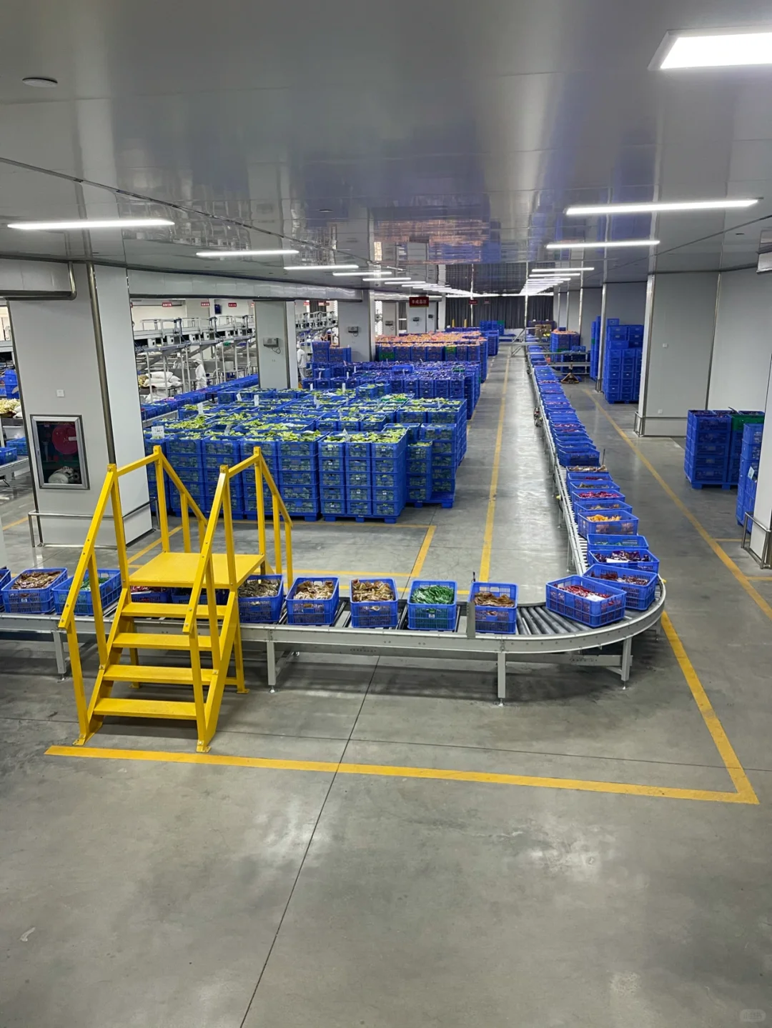 带大家参观——柳州螺霸王螺蛳粉生产线（二）