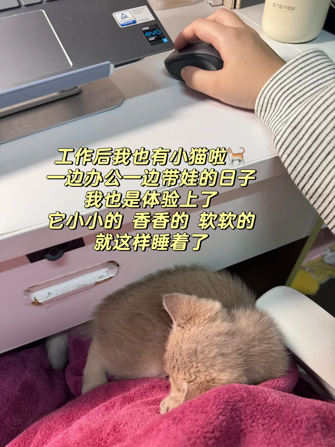 实验员日常|实验室新设备到货,下班吃火锅