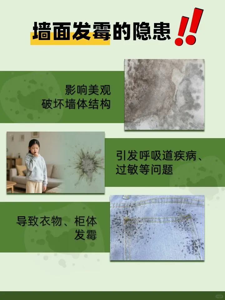 墙面发霉怎么办？百适涂无机涂料能防霉吗？