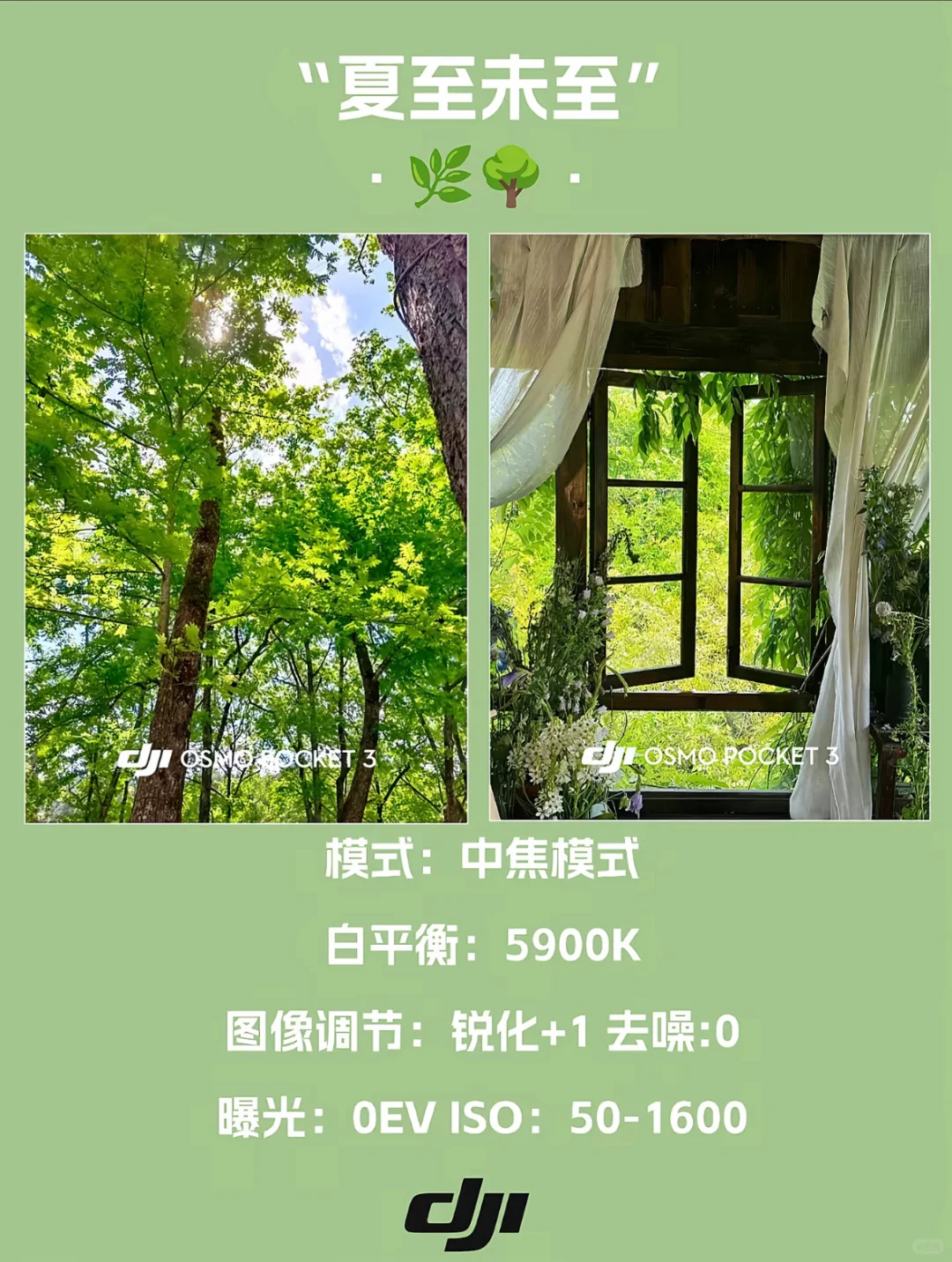 拿到大疆还不会用？来看看这里！