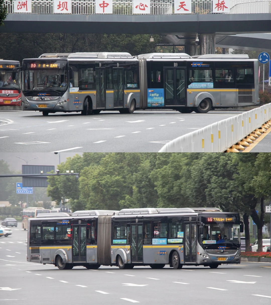 宜昌BRT——暮年CNG铰接 金龙宇通都精彩