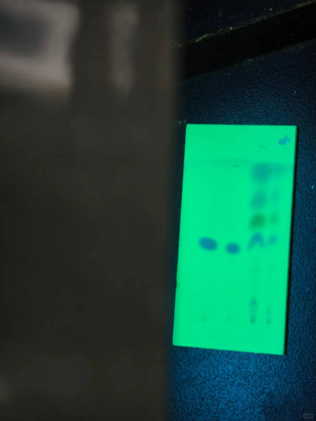 谁懂啊家人们，打浆点板干净到令人发指