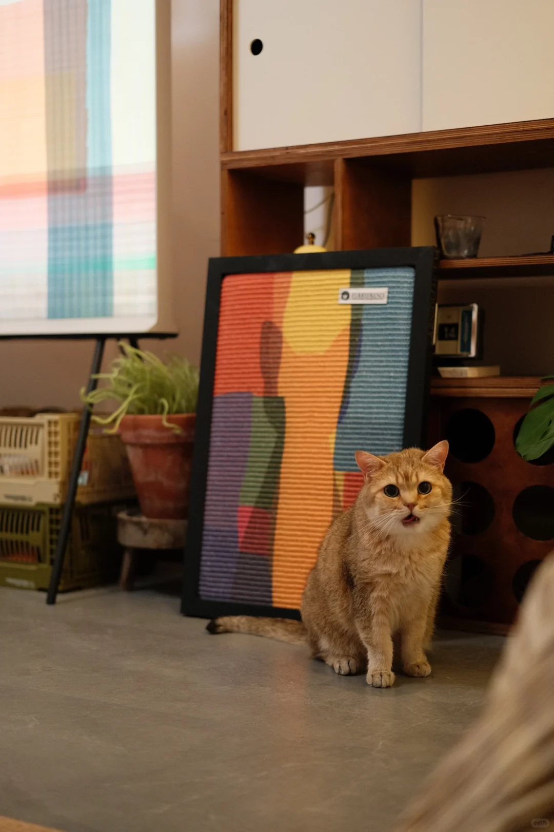 居家日常｜在家养一场属于自己的秋天?