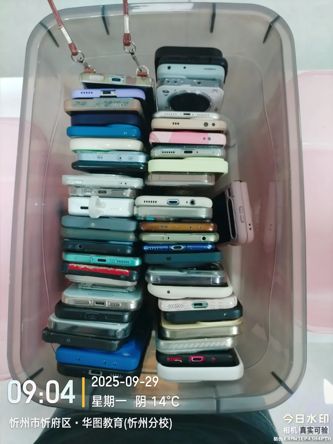 今天又收获了一堆手机?