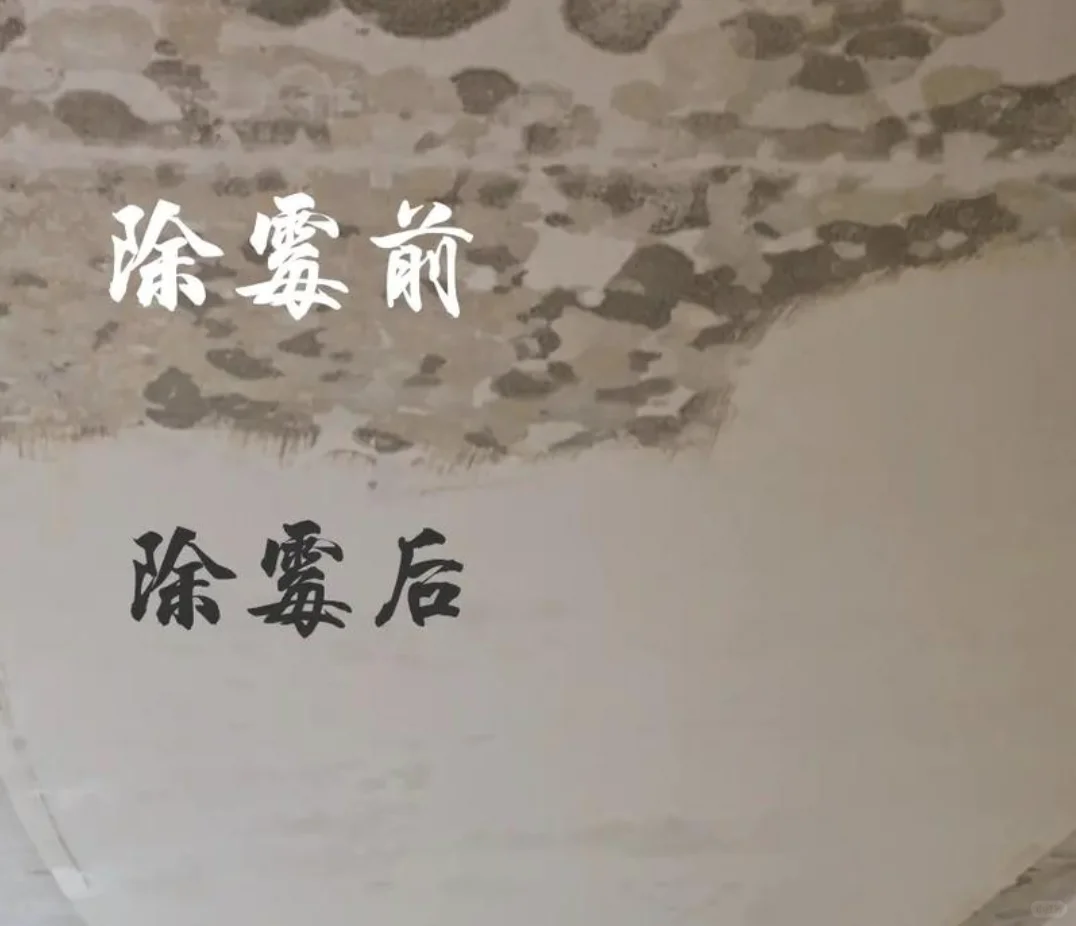 2024年墙面涂防水防霉乳胶漆成本测算分析