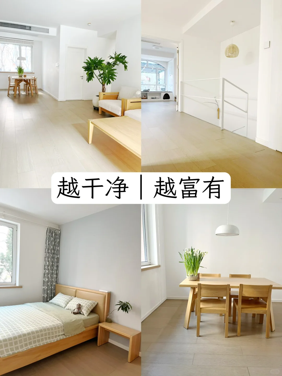 哪里都干净的生活|真的很养人