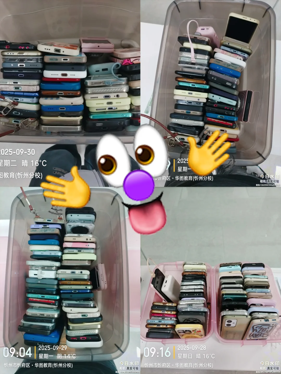 今天又收获了一堆手机?