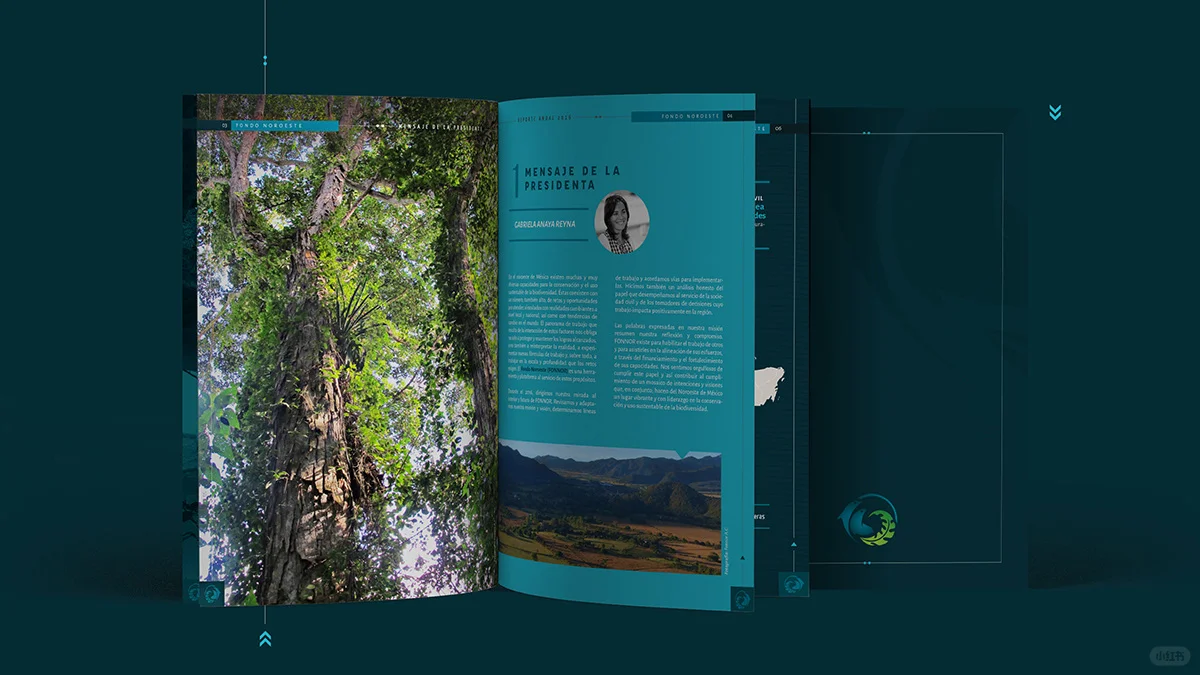 画册设计10大印刷工艺及用途