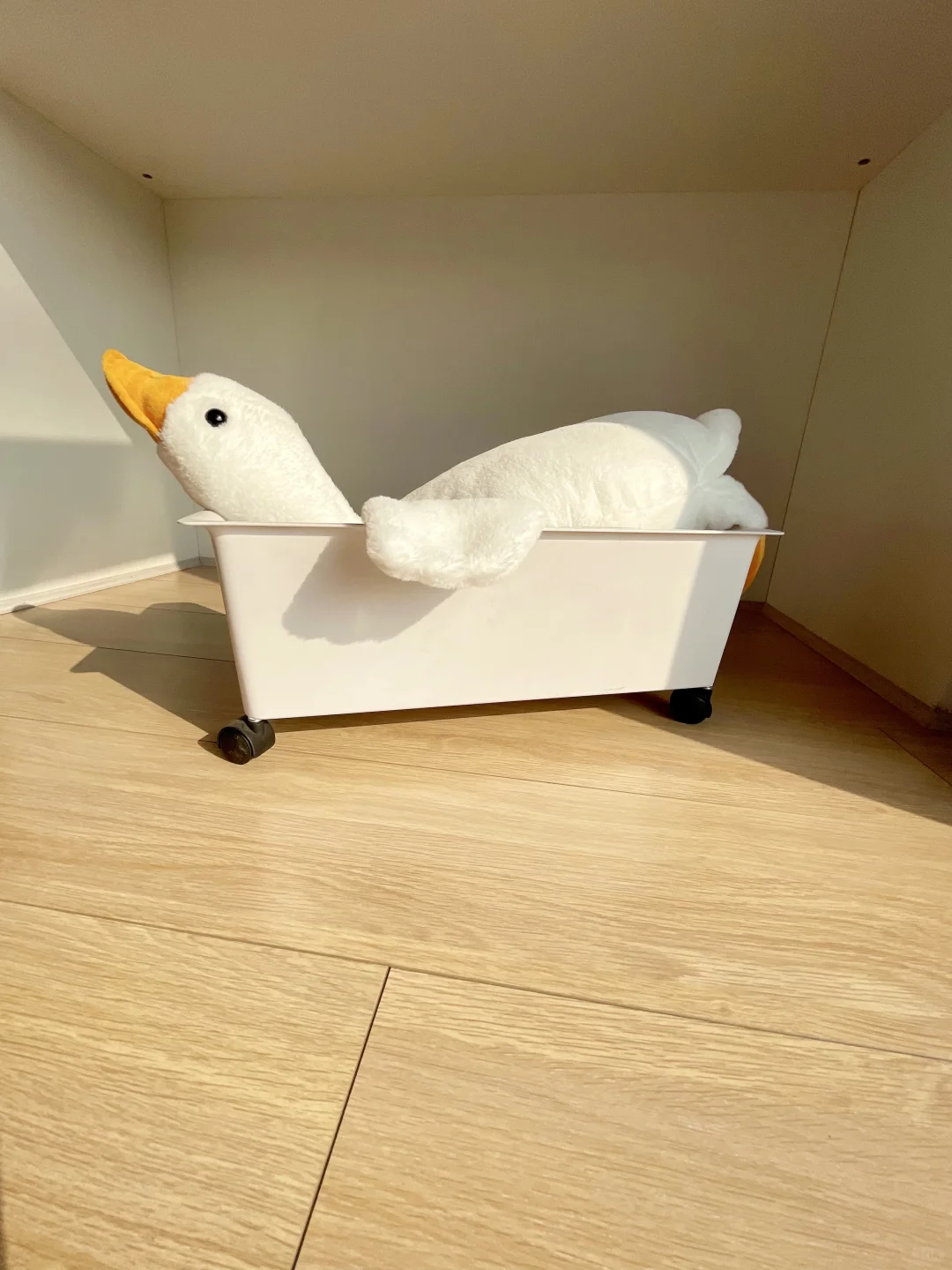 干净｜人养屋三年 屋养人一生