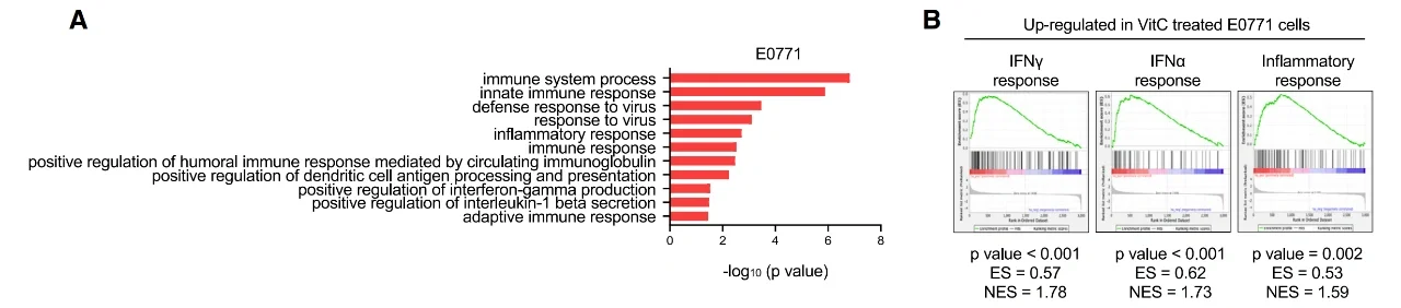 哈佛团队最新Cell，维生素C抗癌再添新证