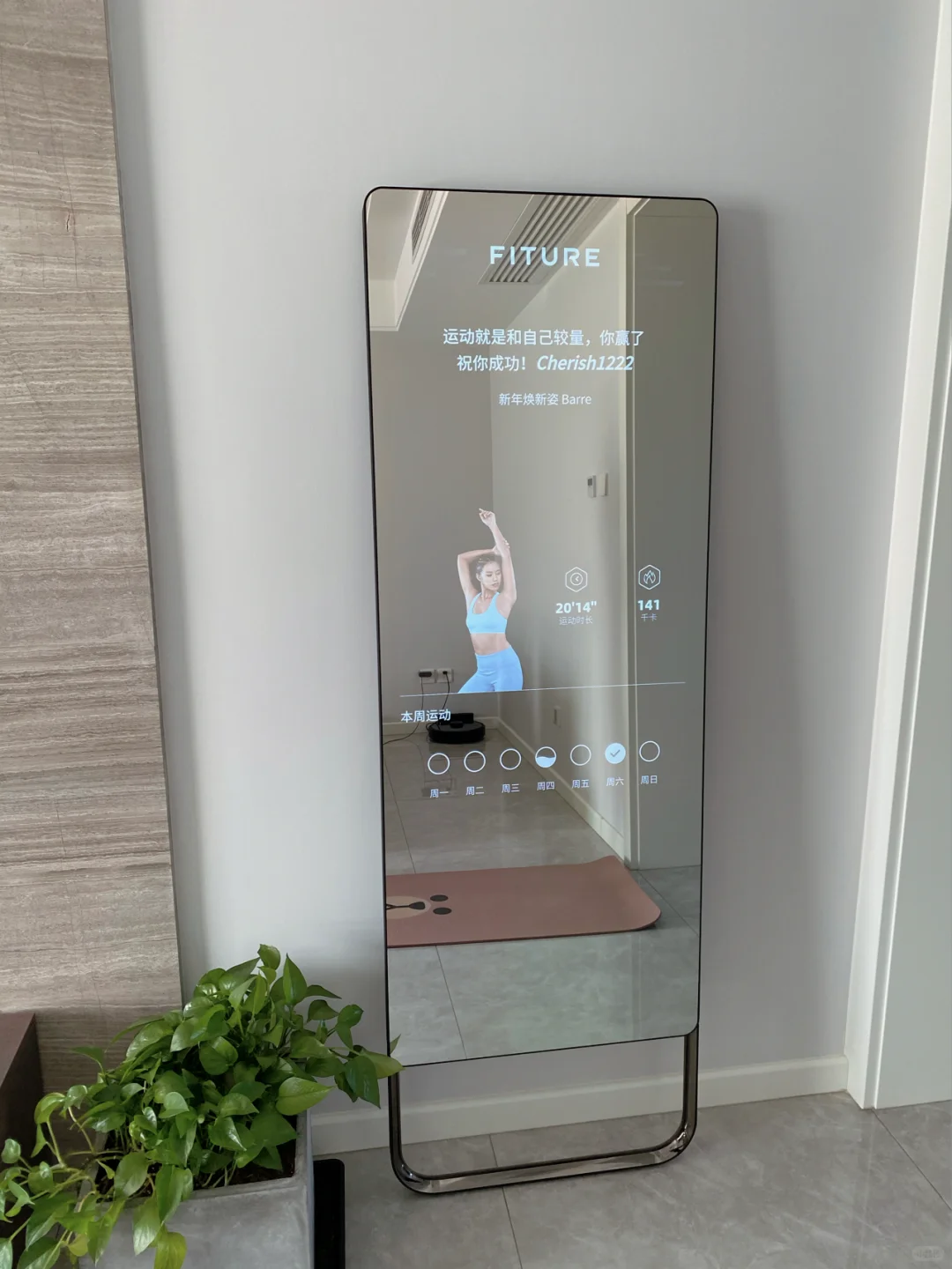 家里使用频率最高的智能产品