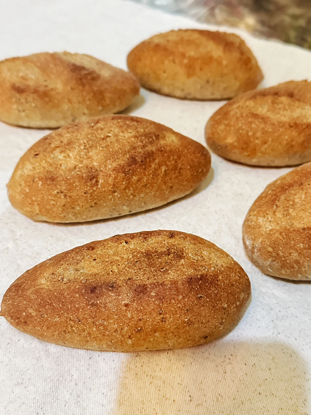 无糖无油奇亚籽黑麦小短棍?