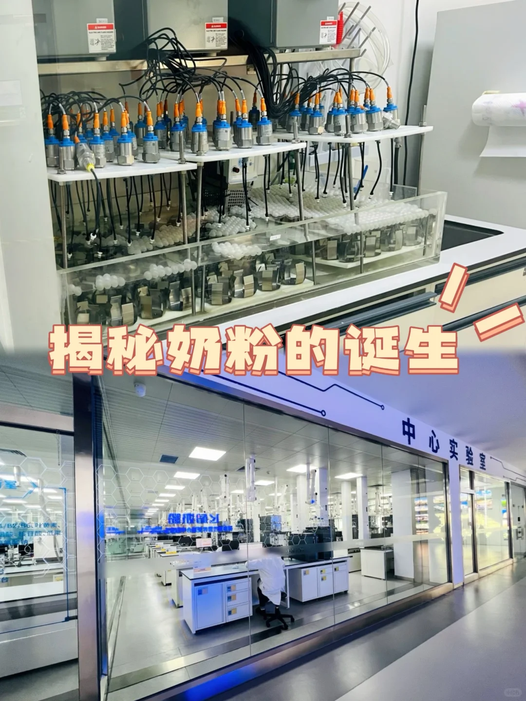 哈尔滨遛娃｜拥有一场科学梦❓看这一篇就够了