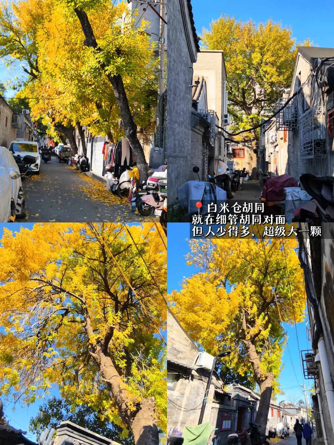 10.26实拍‼️北京5️⃣个人少落叶绝美胡同