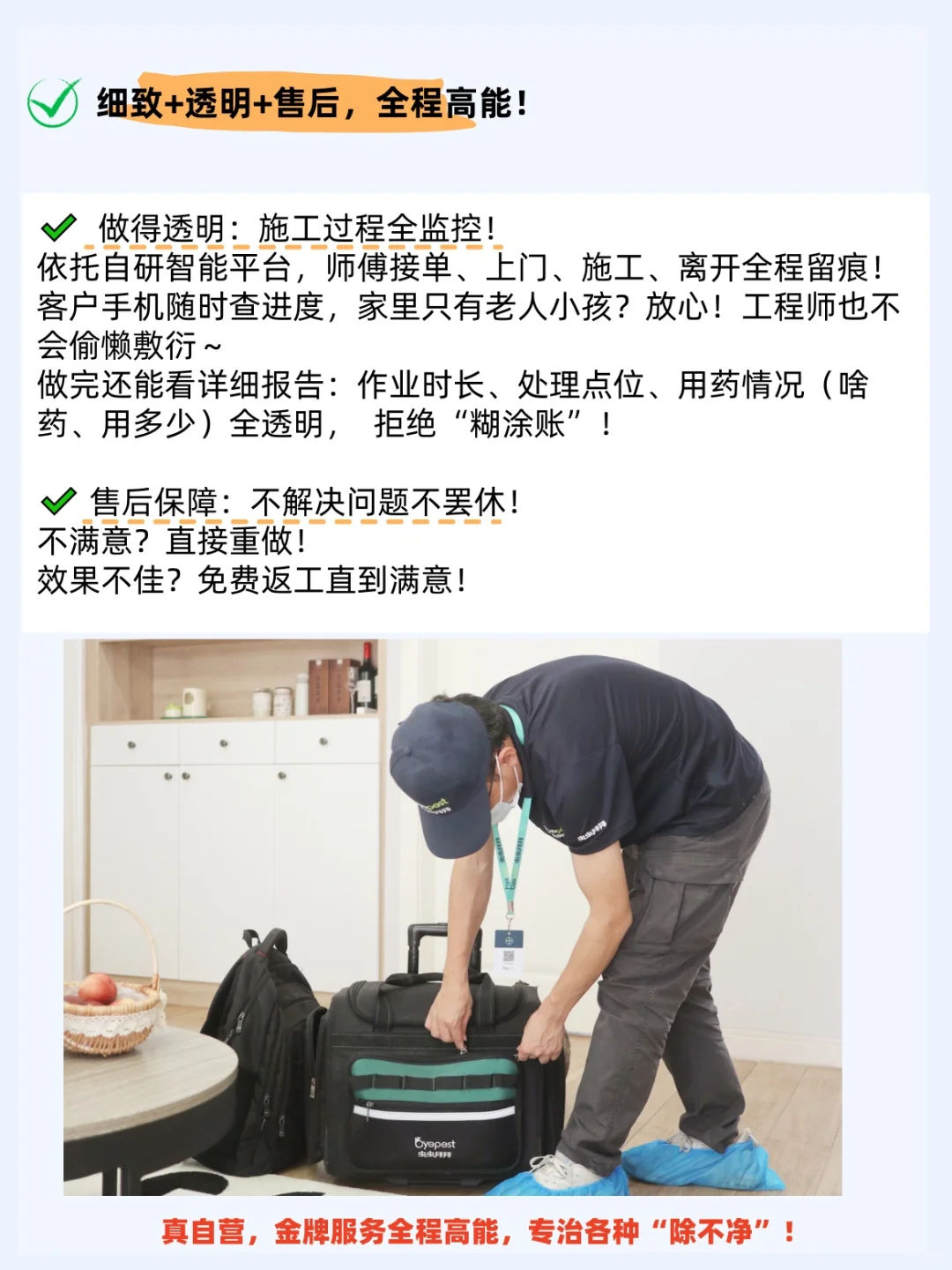 虫虫拜拜：真正的除虫界 “六边形战士”！