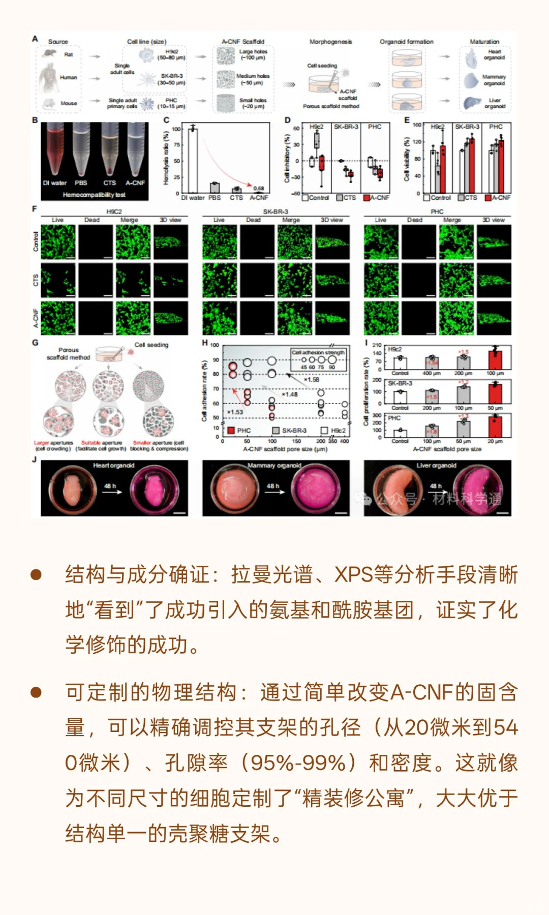 中国科学家用“木头”造出超级生物材料，性