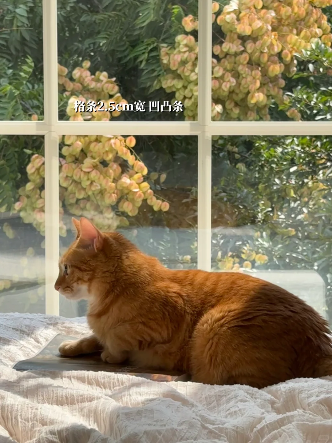 用断桥铝复刻格子窗,有一点点成功(附功课